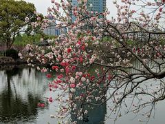 -无锡蠡湖国家湿地公园-蠡园