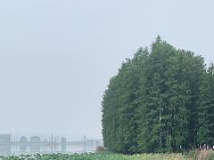 -东湖落雁景区