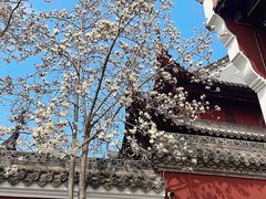 -长春观