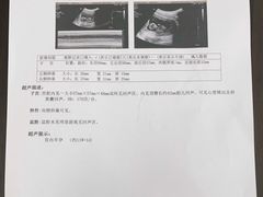-上海天伦医院