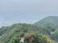 -杭州半山国家森林公园