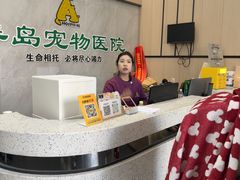 -半岛宠物医院24小时(科华中路店)