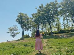 -滆湖低碳生态公园