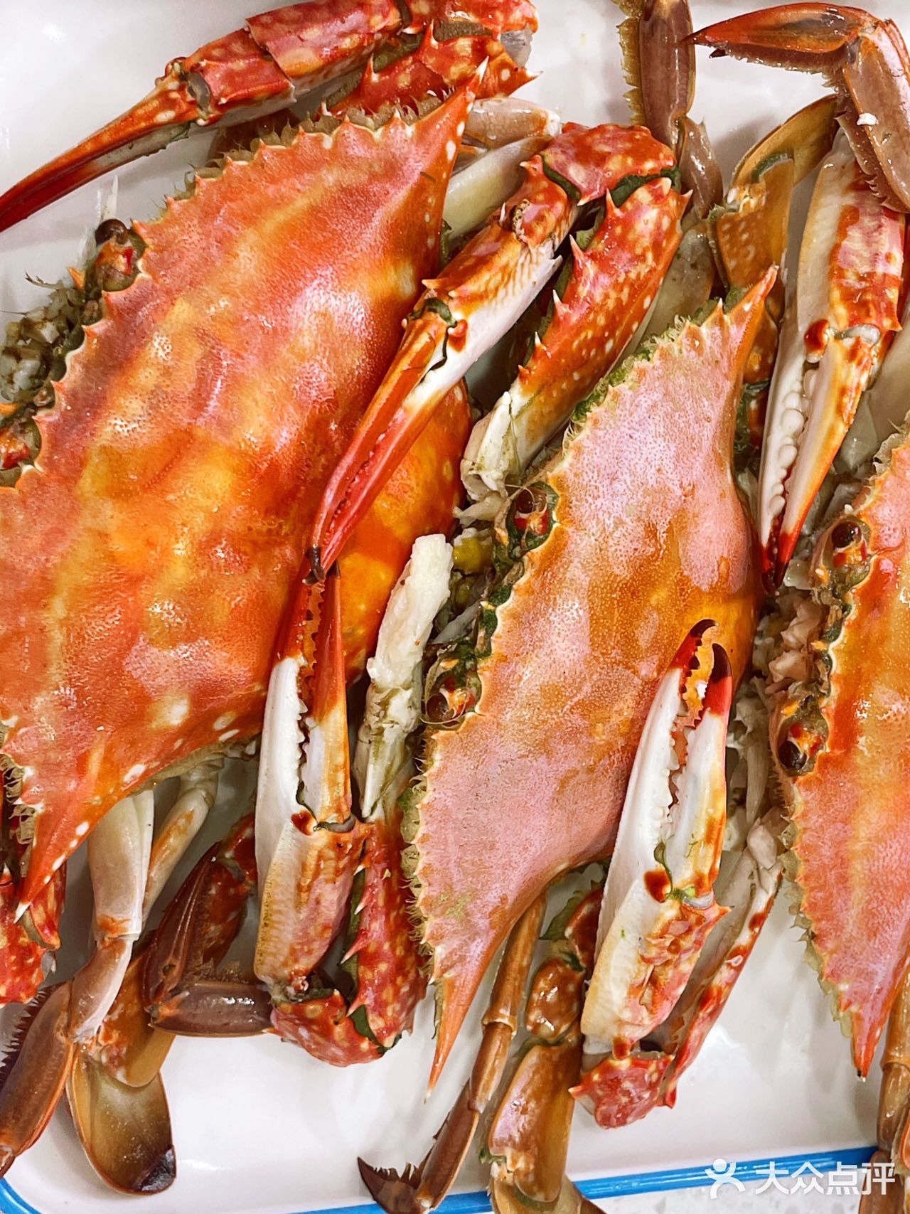 超大生蚝🦪 每年这个季节的生蚝🦪都是最肥的