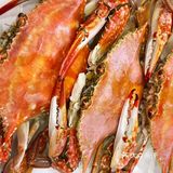 超大生蚝🦪 每年这个季节的生蚝🦪都是最肥的