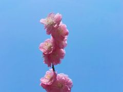 -滨湖塘西河公园