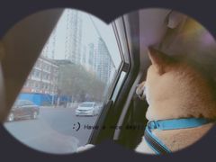 -马路边边串串香(双井直营店)