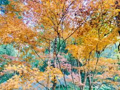 -吴山景区