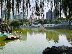 -团结湖公园