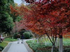 -杭州城北体育公园