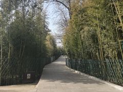 -红螺寺