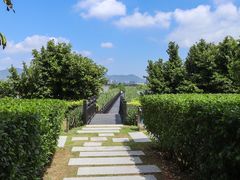 -芒洲湿地公园