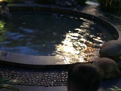 -漳州佰翔圆山酒店·圆山畔西餐厅