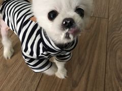-星巴克(天津鲁能中心第三店)