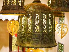 -叶叶菩提(太原别墅店)