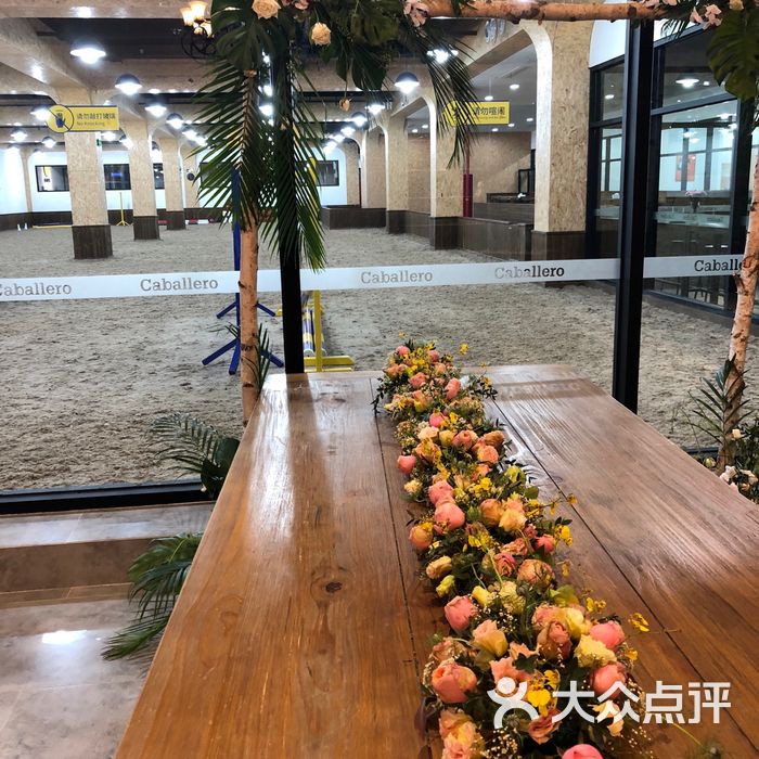 佳伯马术俱乐部图片-北京少儿运动-大众点评网