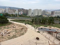 -青藏高原野生动物园
