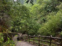 -洛阳白云山景区