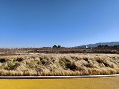 -彩色沙林风景区