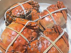 -黄记大闸蟹专卖店·活蟹·醉蟹