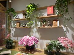 -渝信川菜 · 川味家常菜(财富购物中心店)