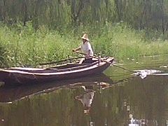 -白洋淀景区