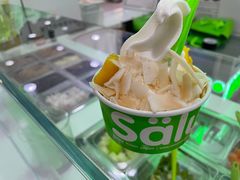 -Salud撒露欧洲冻酸奶(五道口购物中心店)