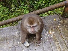 -九峰山