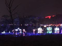 -飞凤山奥体公园