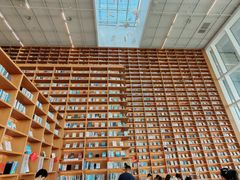 -朵云书院(滴水湖店)