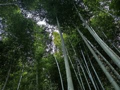 -天柱大峡谷