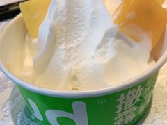 -Salud撒露欧洲冻酸奶(北苑上品店)
