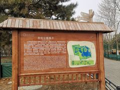 -大兴滨河森林公园