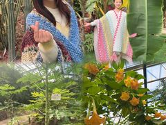 -呀路古热带植物园