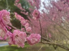 -南湖湿地公园