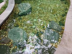 -碧桂园润杨溪谷温泉酒店