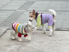 -小意思咖啡店(草桥店)