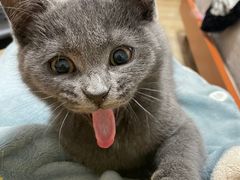 -安安宠医·安宠宠物医院