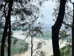 -铁山坪森林公园