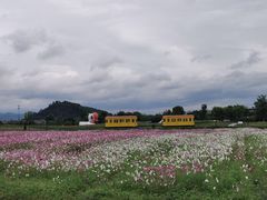 -径山花海