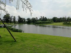 -两河城市森林公园