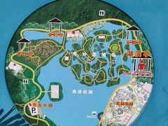 -佛冈森波拉度假区