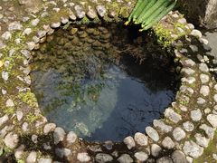 -燕子河大峡谷天坑仙境