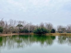 -梁鸿国家湿地公园