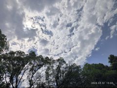 -铁山坪森林公园