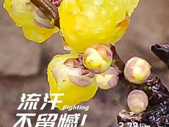 -金陵之星大酒店·中餐厅