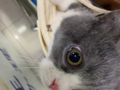 -申普宠物医院·眼科·心内科·影像科(普陀分院)