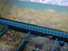 -老东镇啤酒屋海鲜加工·蒸汽海鲜·海鲜烧烤(台东店)