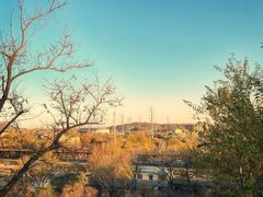 -白水寺森林公园