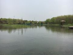 -昆山城市生态森林公园